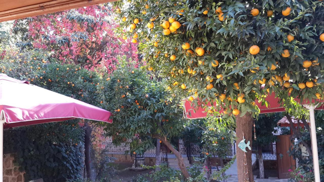 Citrus Garden Hotel Antália Exterior foto
